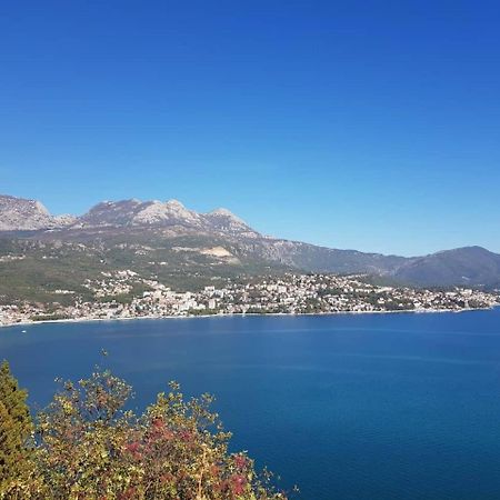 Apartment Miki Herceg Novi Eksteriør billede